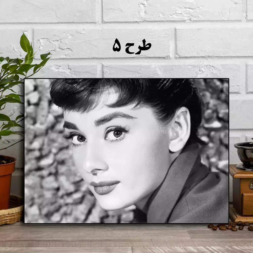 تابلو آدری هپبورن — تصویر ۶