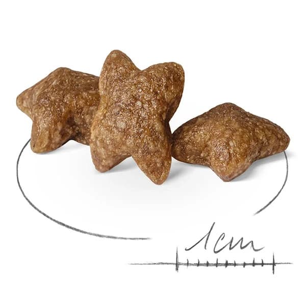 غذای خشک سگ نژاد کوچک رویال کنین Royal Canin Mini Adult وزن 1 کیلوگرم (فله) — تصویر ۴