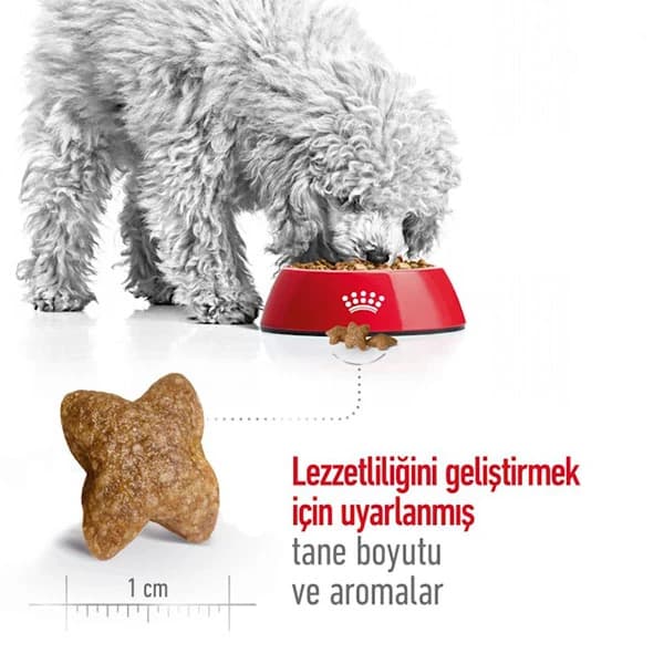 غذای خشک سگ نژاد کوچک رویال کنین Royal Canin Mini Adult وزن 1 کیلوگرم (فله) — تصویر ۵