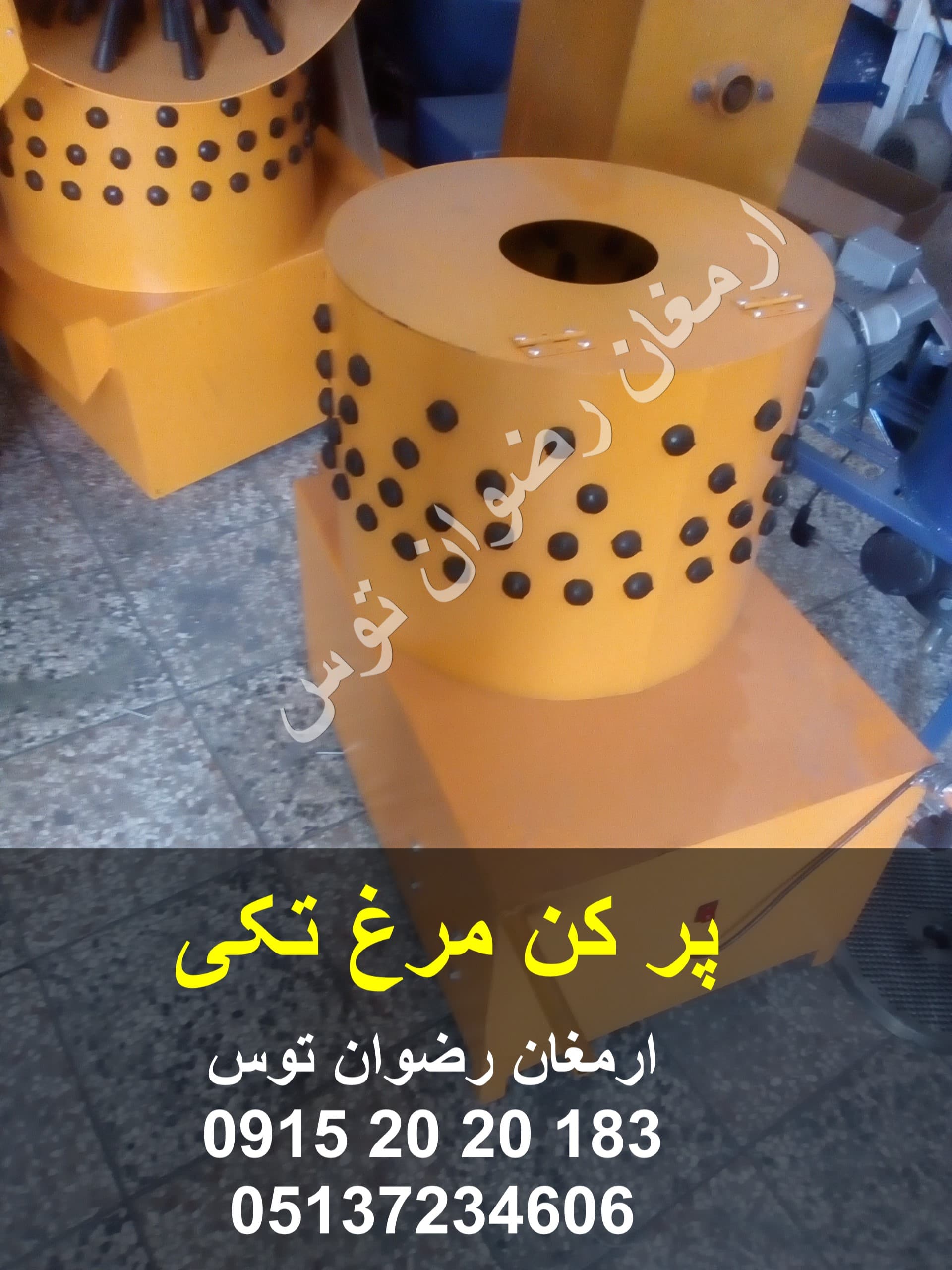 پر کن مرغ یک مرغی — تصویر ۲