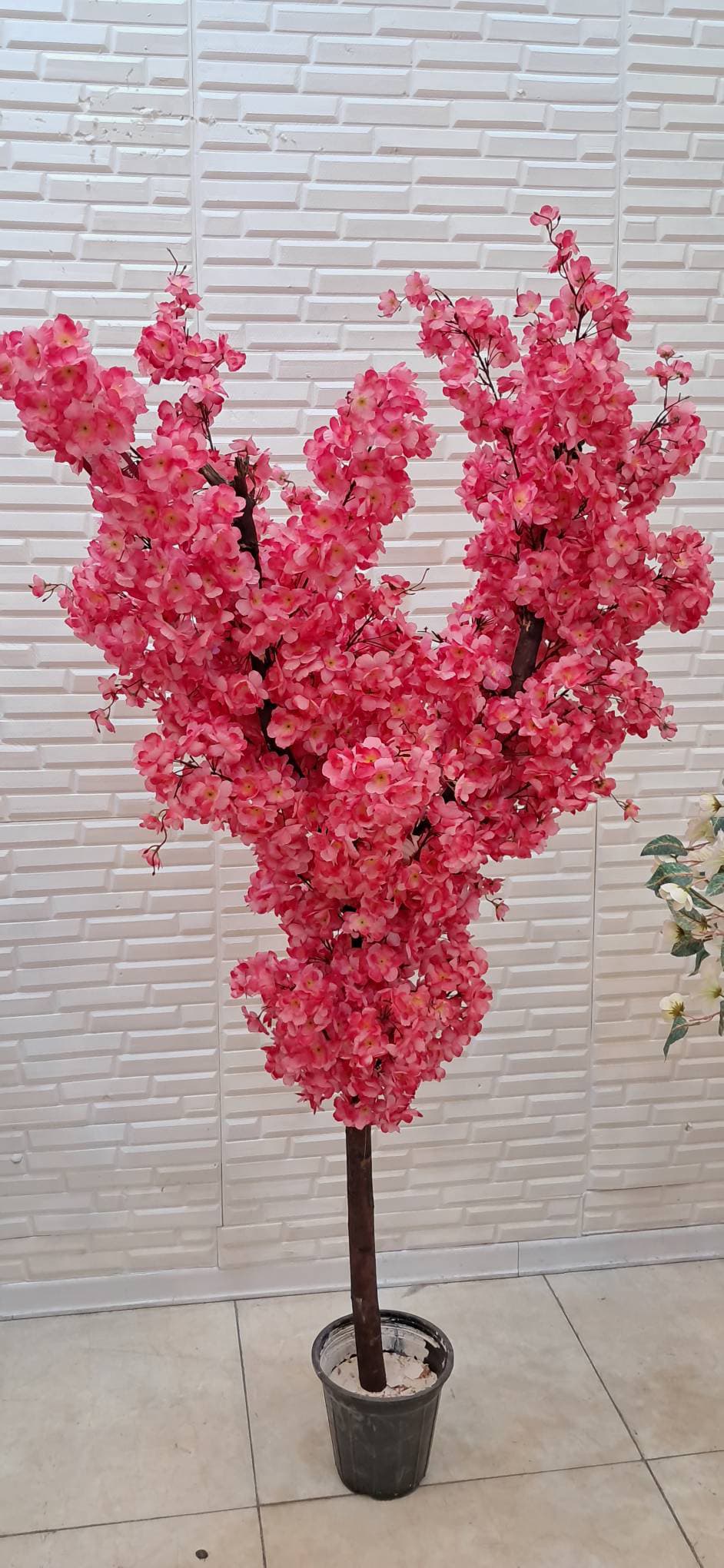 درختچه شکوفه – صورتی