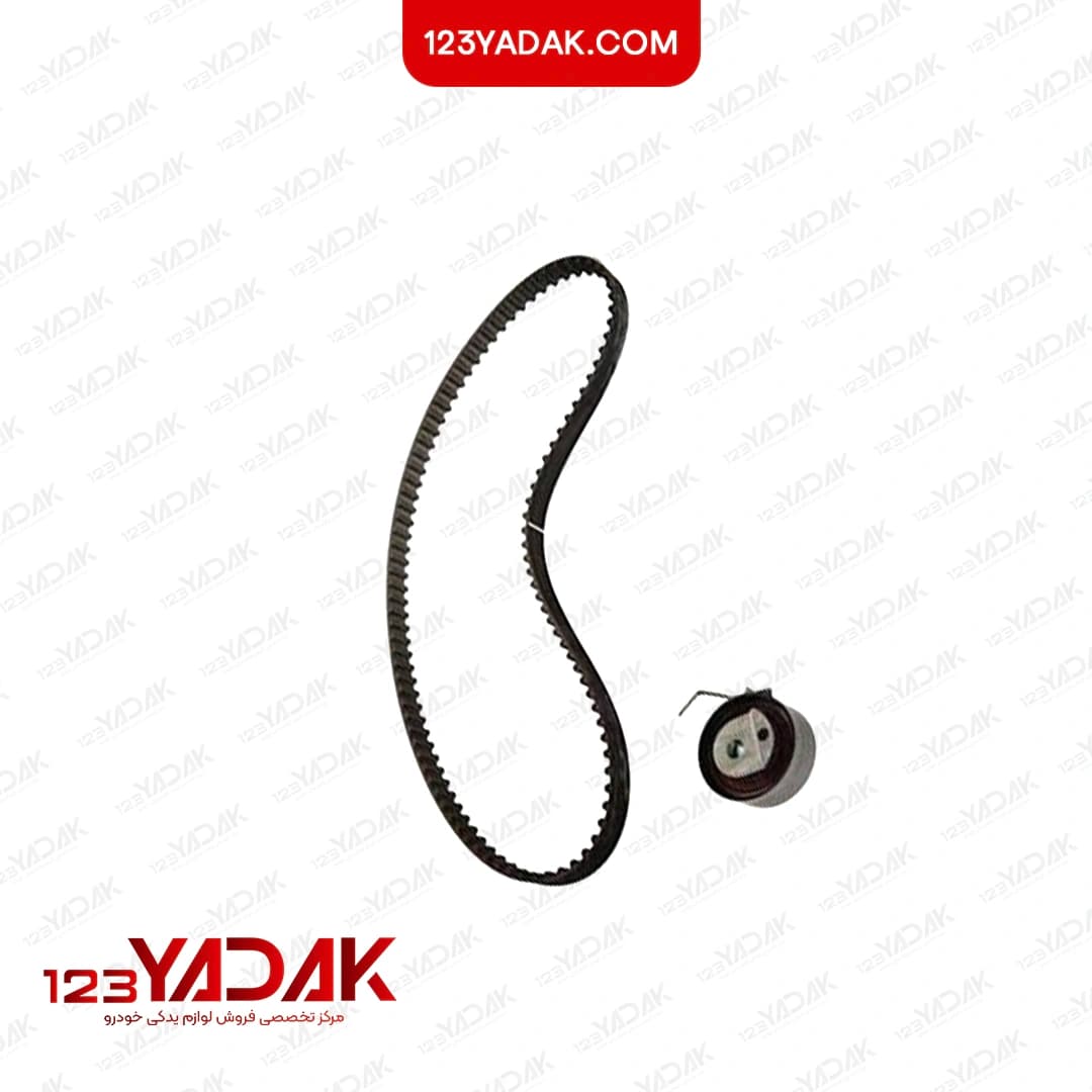 کیت تسمه TU3 پژو ۲۰۶ تیپ ۲ رایکالتون