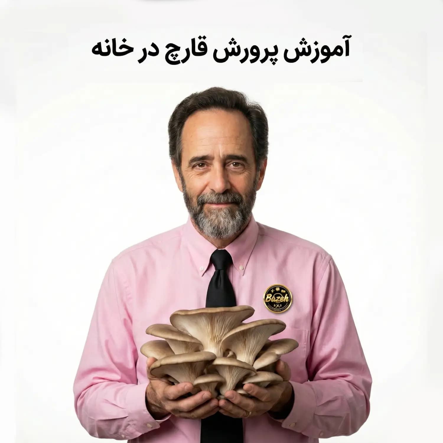 آموزش پرورش قارچ در خانه : با زیرنویس فارسی