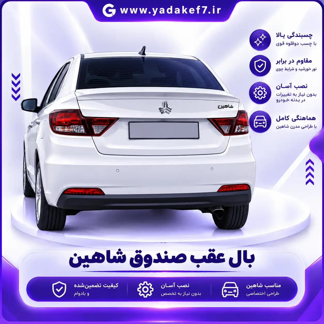 بال عقب شاهین