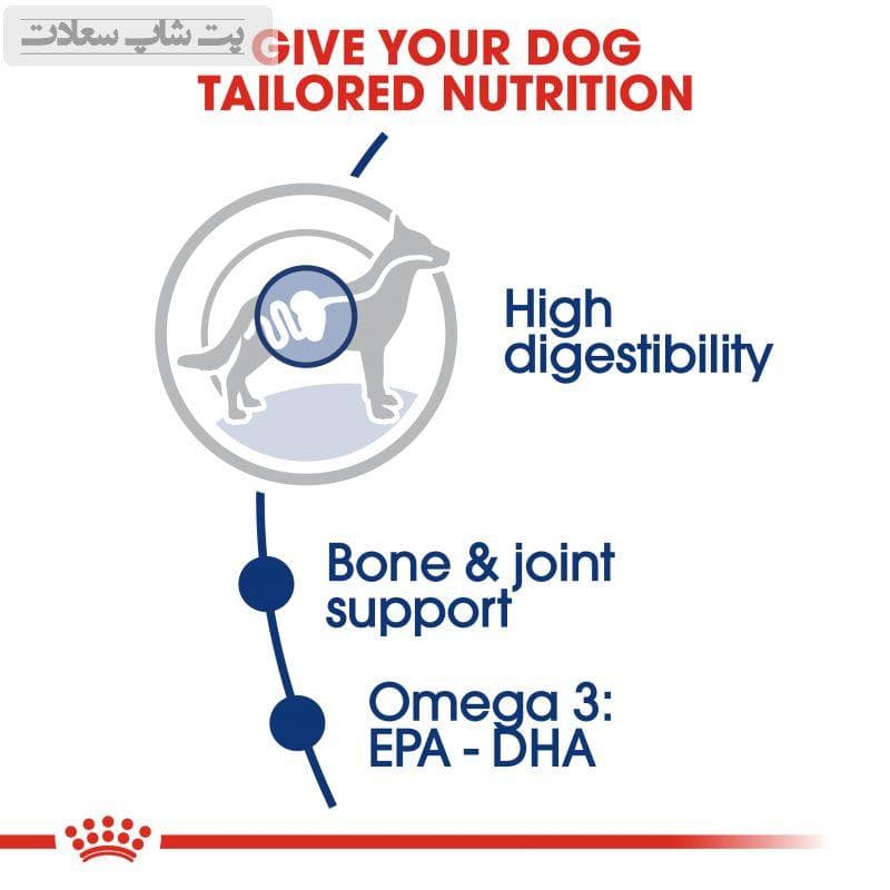 غذای خشک سگ بالغ نژاد بزرگ رویال کنین Royal Canin Maxi Adult وزن 15 کیلوگرم — تصویر ۵