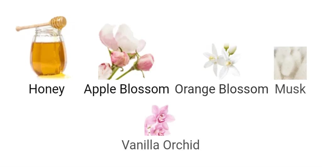 عطر ادکلن اینیشیو ادیکتیو ویبریشن اصل — تصویر ۹