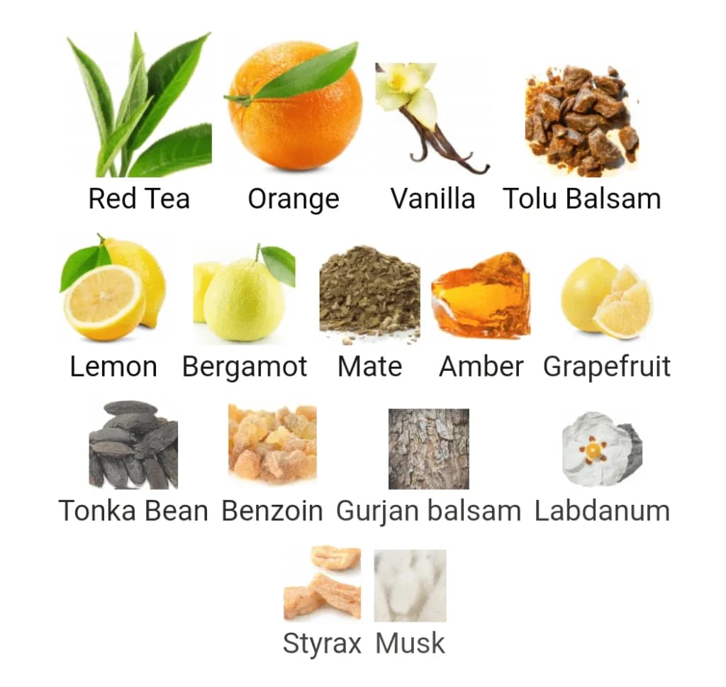 عطر ادکلن ممو وینتر پالاس اصل — تصویر ۹