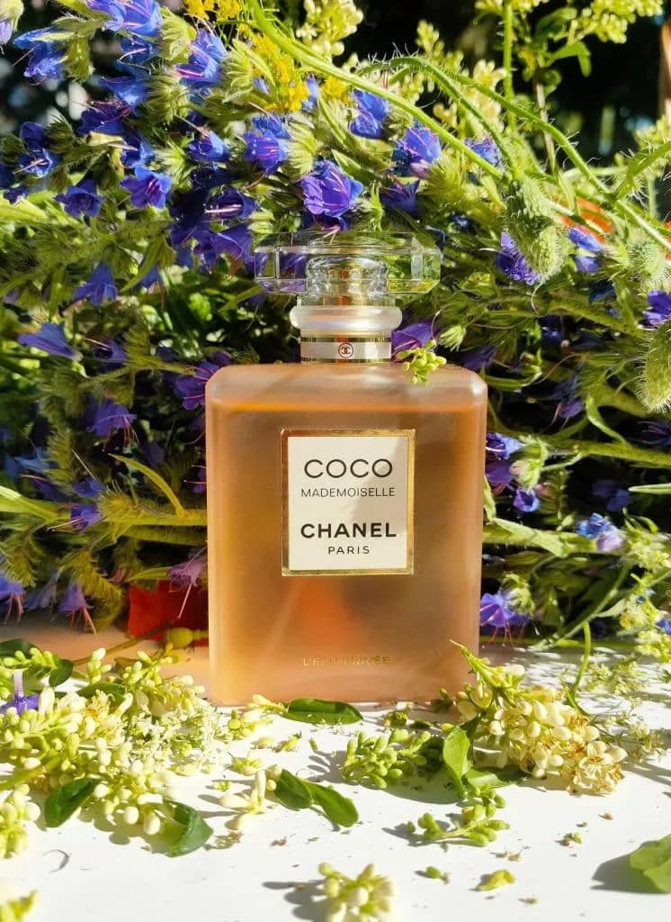 عطر ادکلن شنل کوکو مادمازل لئو پرایو زنانه اصل — تصویر ۵