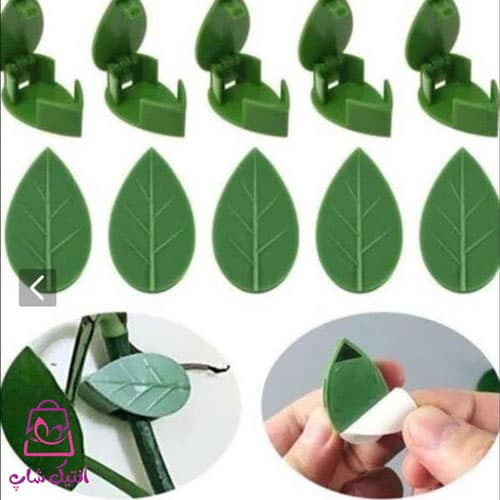 هولدر گیاه سبز