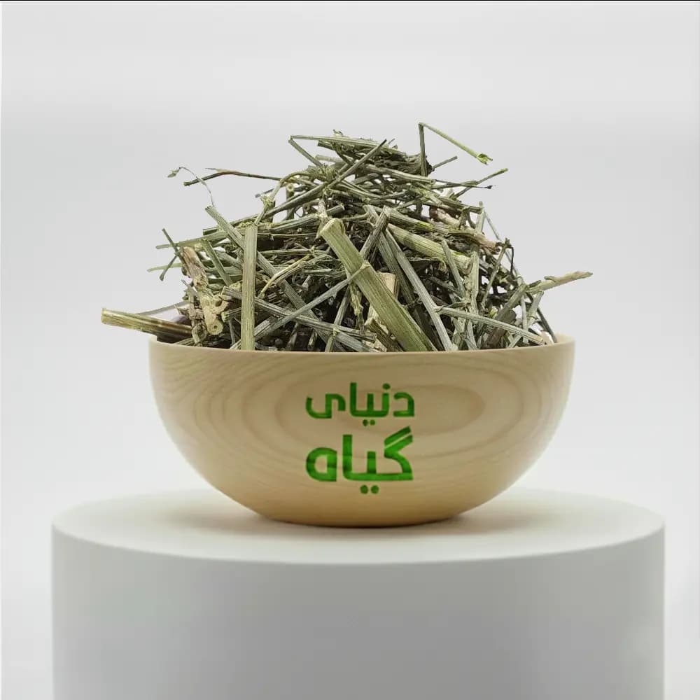 چوب کاسنی