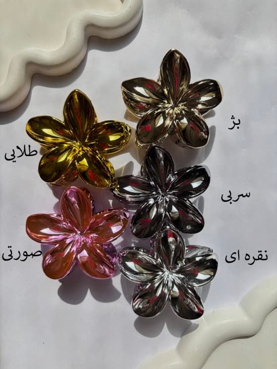 پلومریای کروم- کد 966 — تصویر ۸