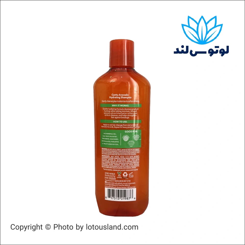 شامپو آبرسان موهای فر کنتو آووکادو – 400 میلیلیتر — تصویر ۲