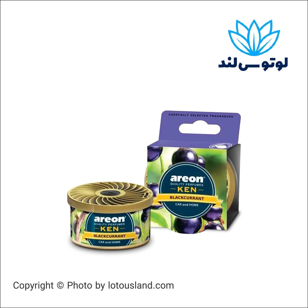 خوشبوکننده هوا Areon Ken مدل Blackcurrant