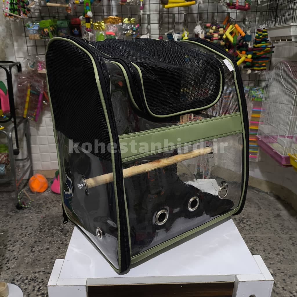 کیف حمل طلقی سبز سدری