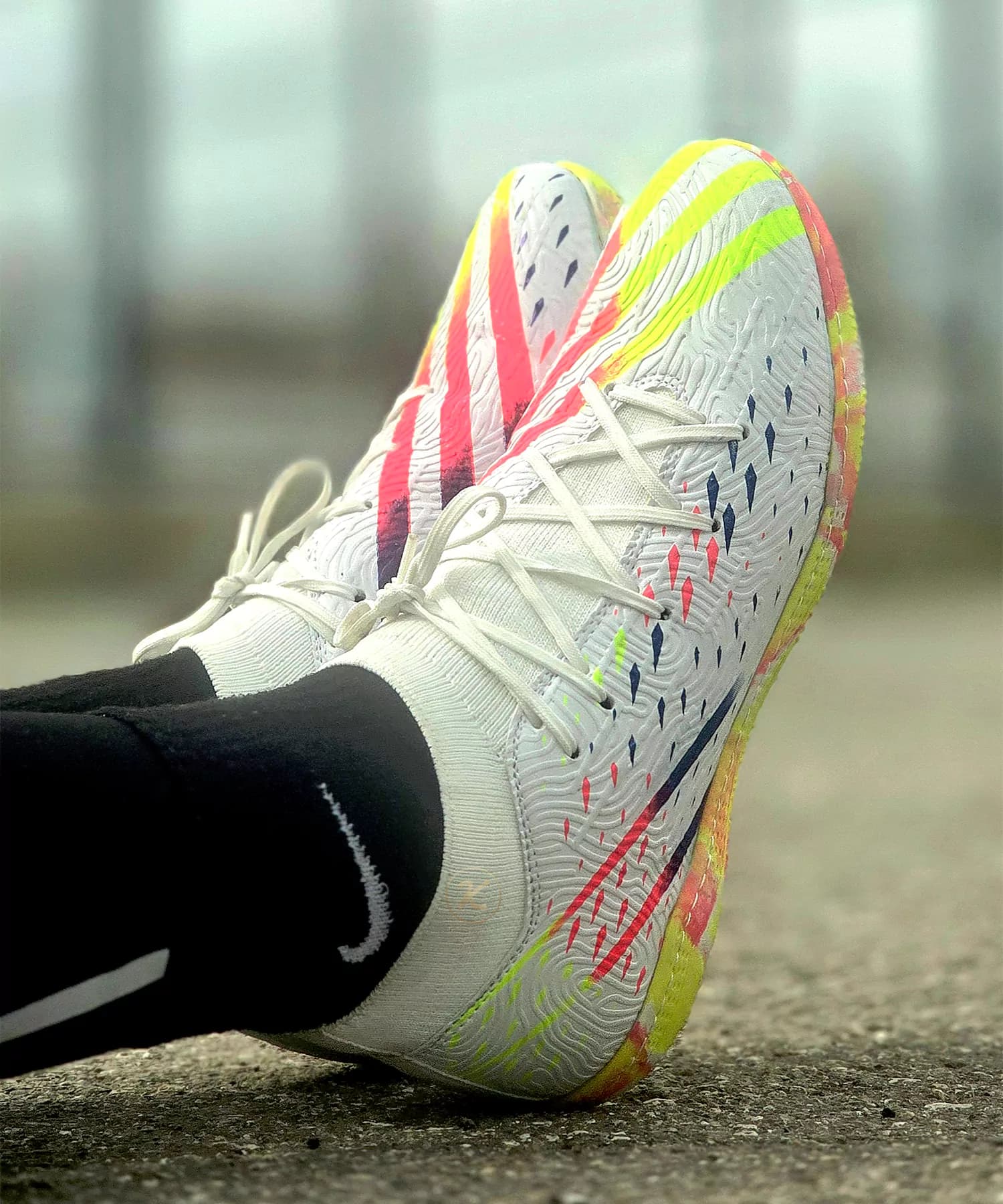 کفش سالنی آدیداس پردیتور جام جهانی سفید Adidas predator world cup — تصویر ۳