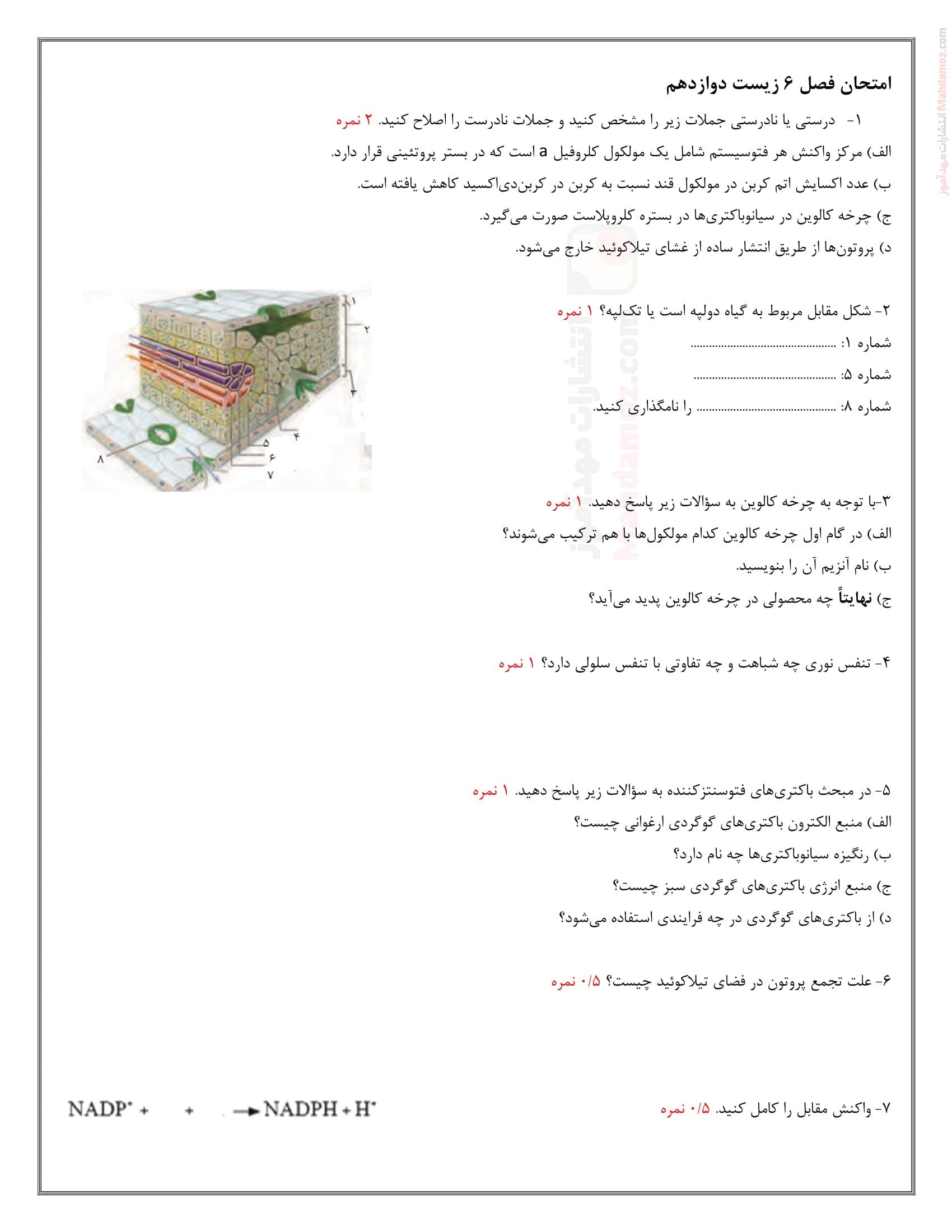 سوالات مرور درس فصل 6 زیست شناسی پایه دوازدهم دبیرستان | با جواب
