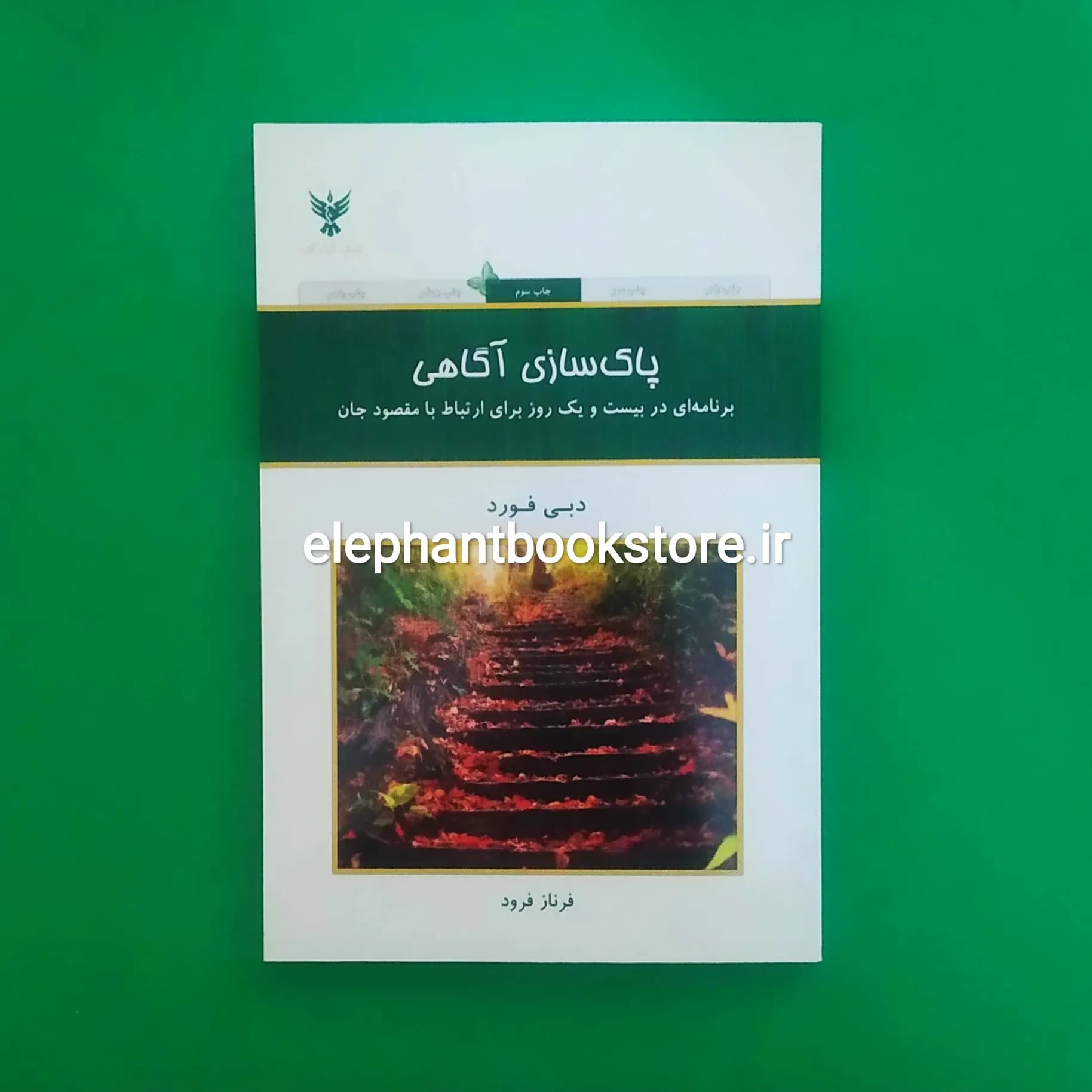 کتاب پاک سازی آگاهی اثر دبی فورد