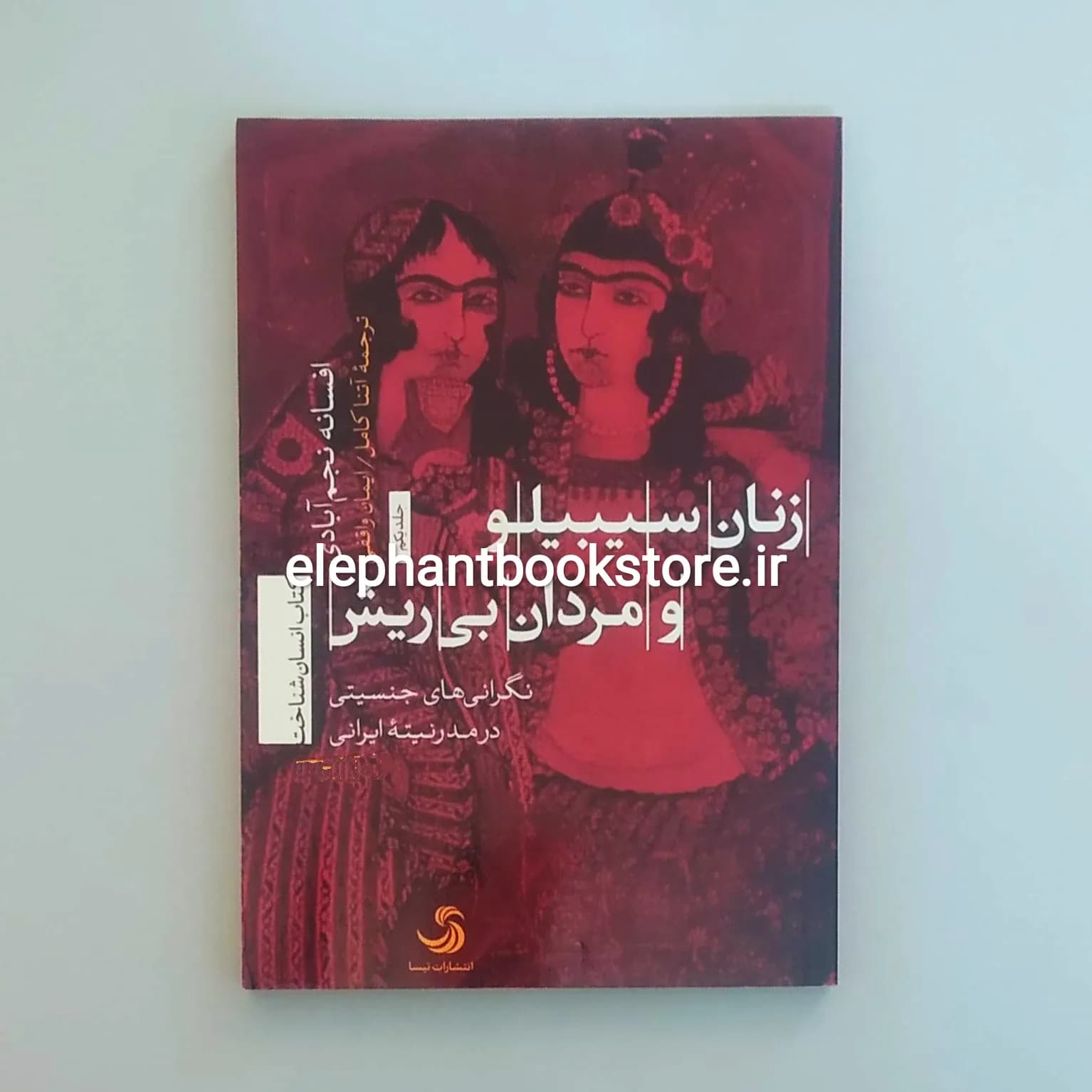 کتاب زنان سیبیلو و مردان بی ریش اثر افسانه نجم آبادی