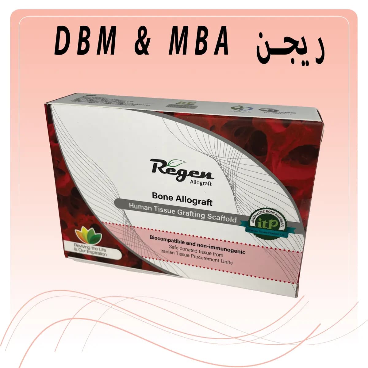 پودر استخوان ریجن DBM & MBA