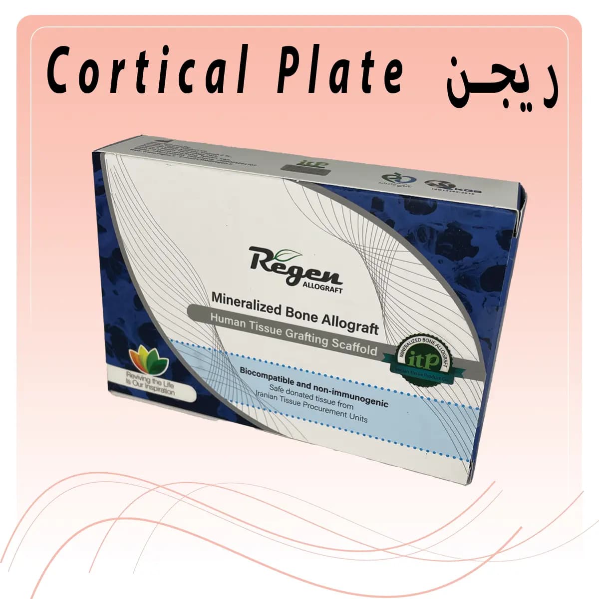 پودر استخوان ریجن MBA Cortical Plate