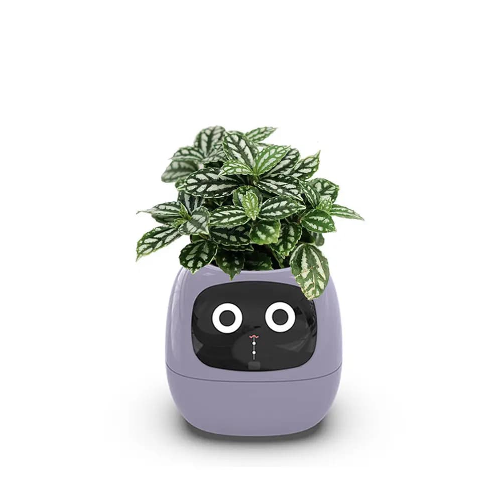 گلدان هوشمند مدل Smart Plant Ivy — تصویر ۲