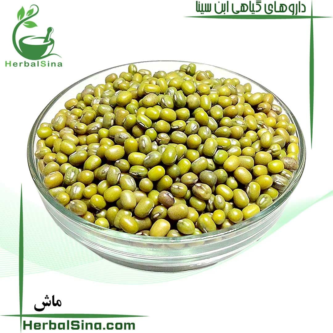 ماش هربال سینا