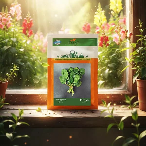 بذر بیبی اسفناج خانگی