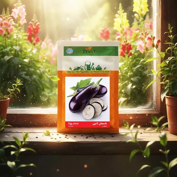 بذر بادمجان لامپی خانگی
