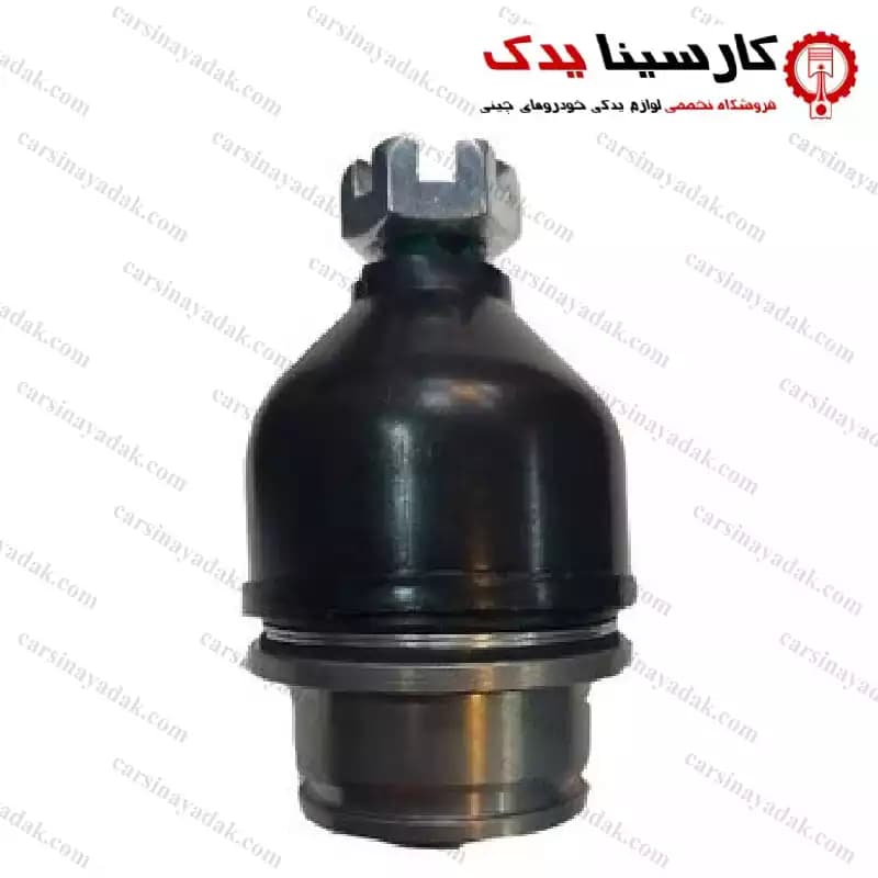 سیبک طبق دایون