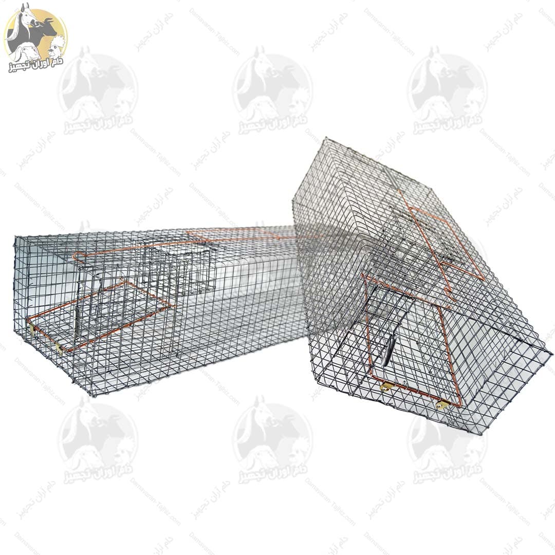 تله موش بدون آسیب سایز بزرگ — تصویر ۶