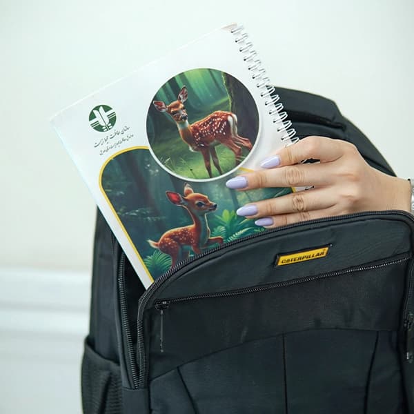 کوله مدارس کاترپیلار – 999-16 — تصویر ۲