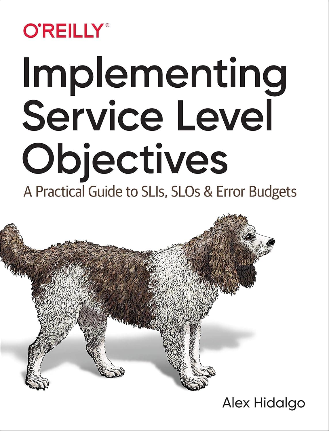 کتاب Implementing Service Level Objectives نسخه انگلیسی PDF | Alex Hidalgo