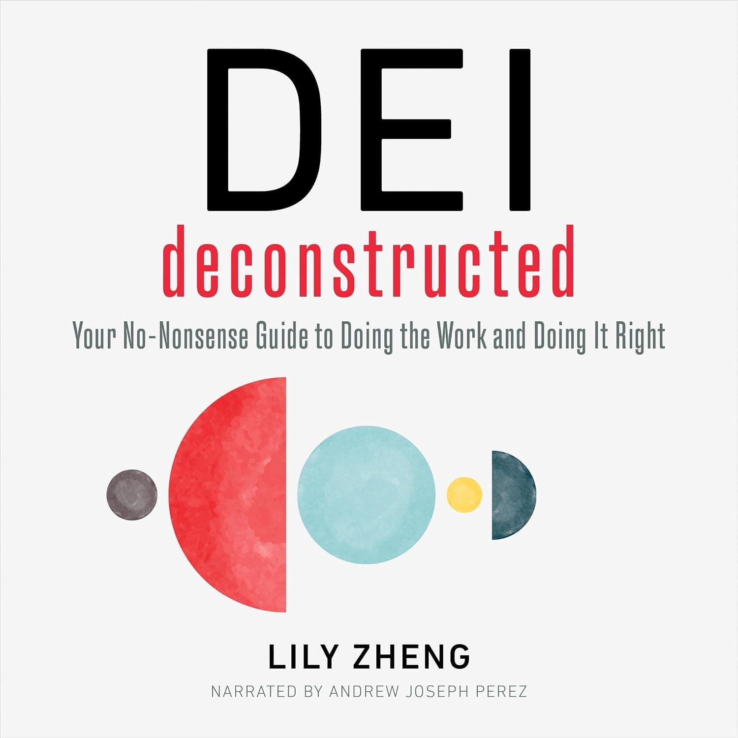 کتاب DEI Deconstructed نسخه انگلیسی PDF | Lily Zheng