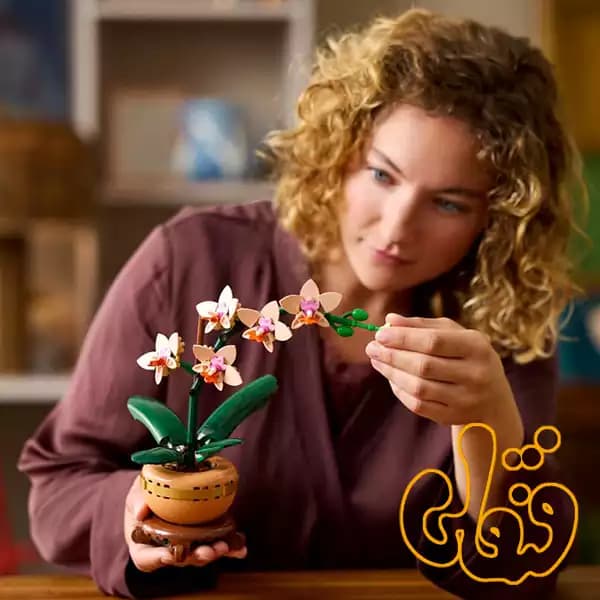 ساختنی لگو گیاه شناسی ارکیده کوچک Mini Orchid 10343 — تصویر ۴