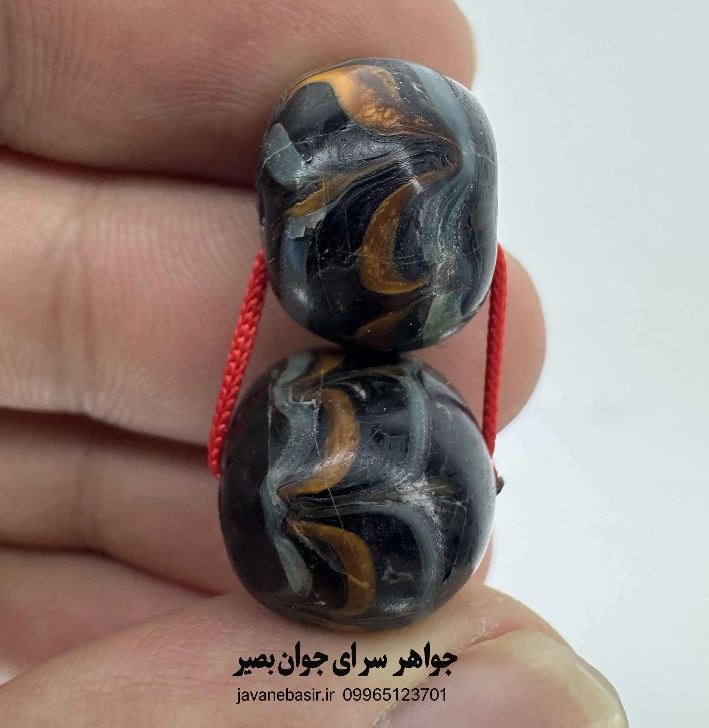 جفت مهره چیتو (مینا) – مدل جریان انرژی و جذب رفاه