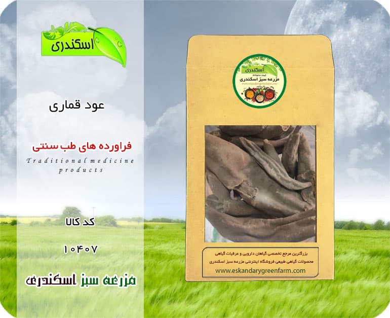 عود قماری