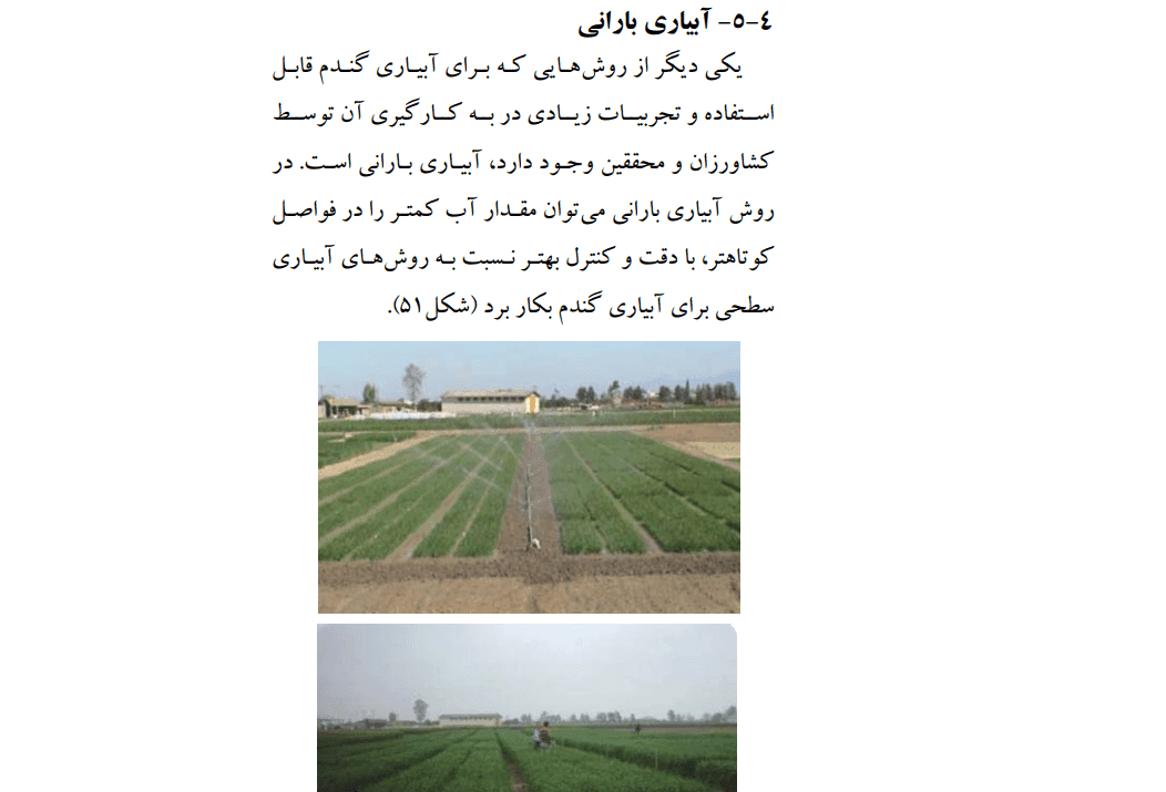 دانلود جزوه راهنمای جامع آبياری گندم — تصویر ۴