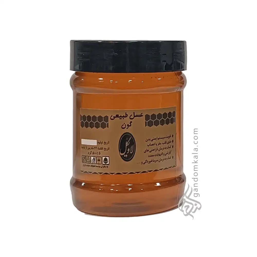 عسل گون دکتر خیراندیش (500 گرمی)