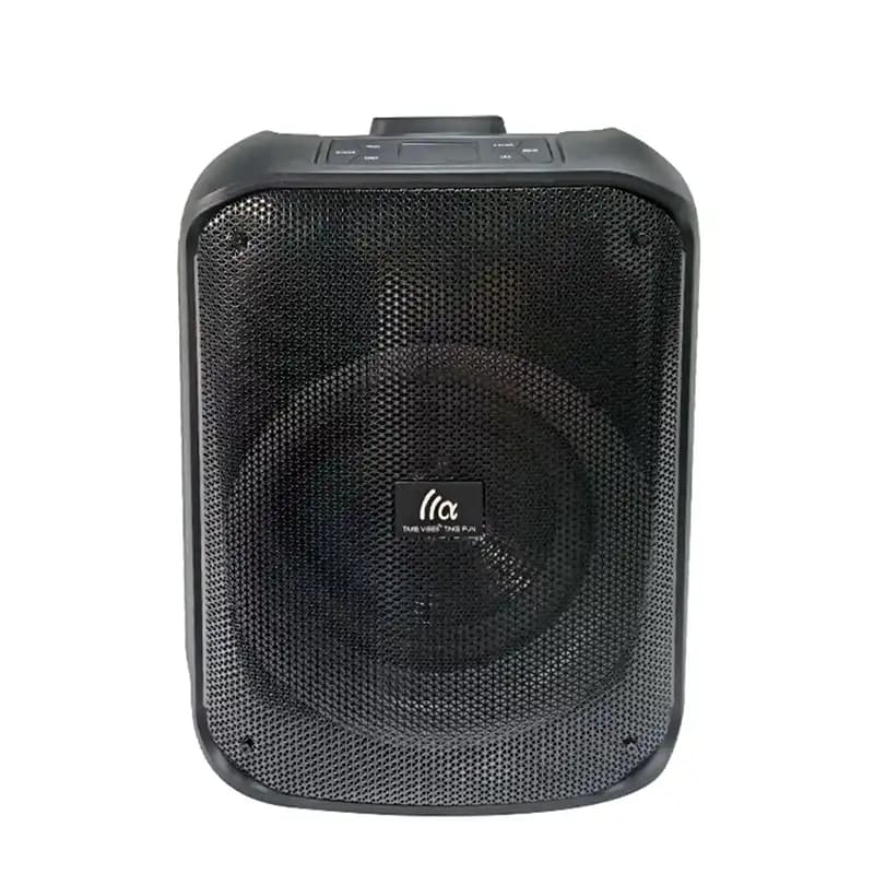 اسپیکر تازاتا TAZATA PARTY FS-T868 — تصویر ۲