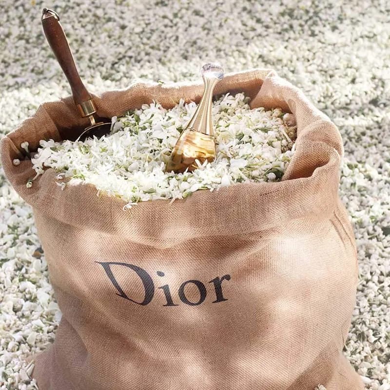 عطر زنانه Dior J’adore Eau de Parfum حجم 100 میلیلیتر — تصویر ۴