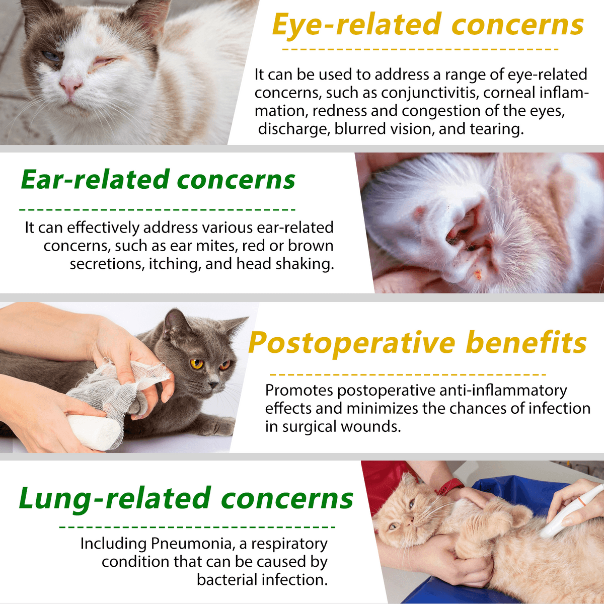 قطره آنتی بیوتیک طبیعی گربه اویمال _ Oimmal cat natural antibiotic — تصویر ۲