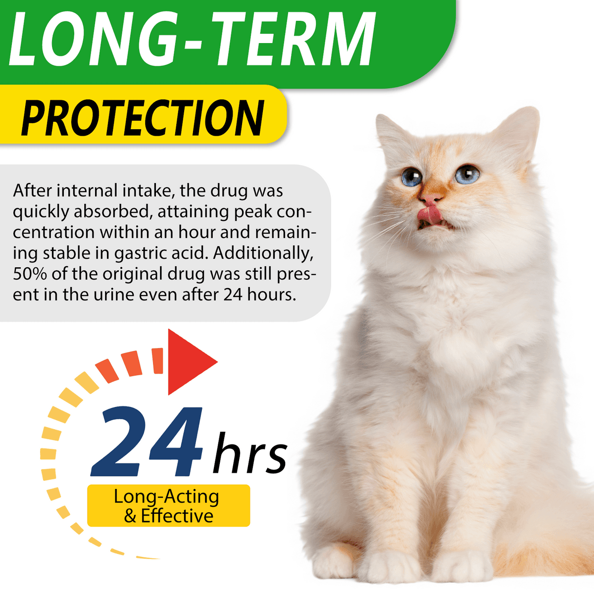 قطره آنتی بیوتیک طبیعی گربه اویمال _ Oimmal cat natural antibiotic — تصویر ۸
