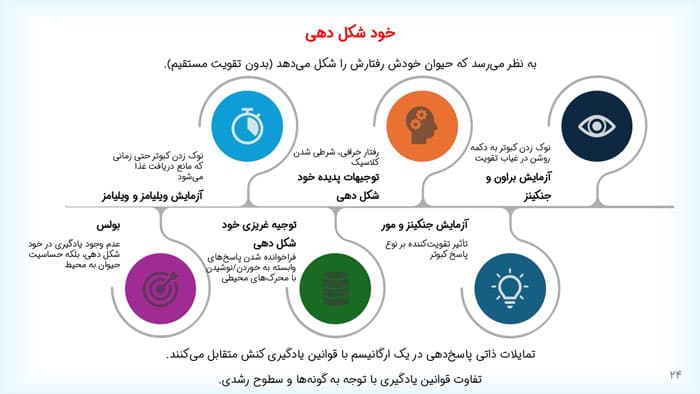 پاورپوینت مقدمه ای بر نظریه های یادگیری هرگنهان (33786) — تصویر ۸
