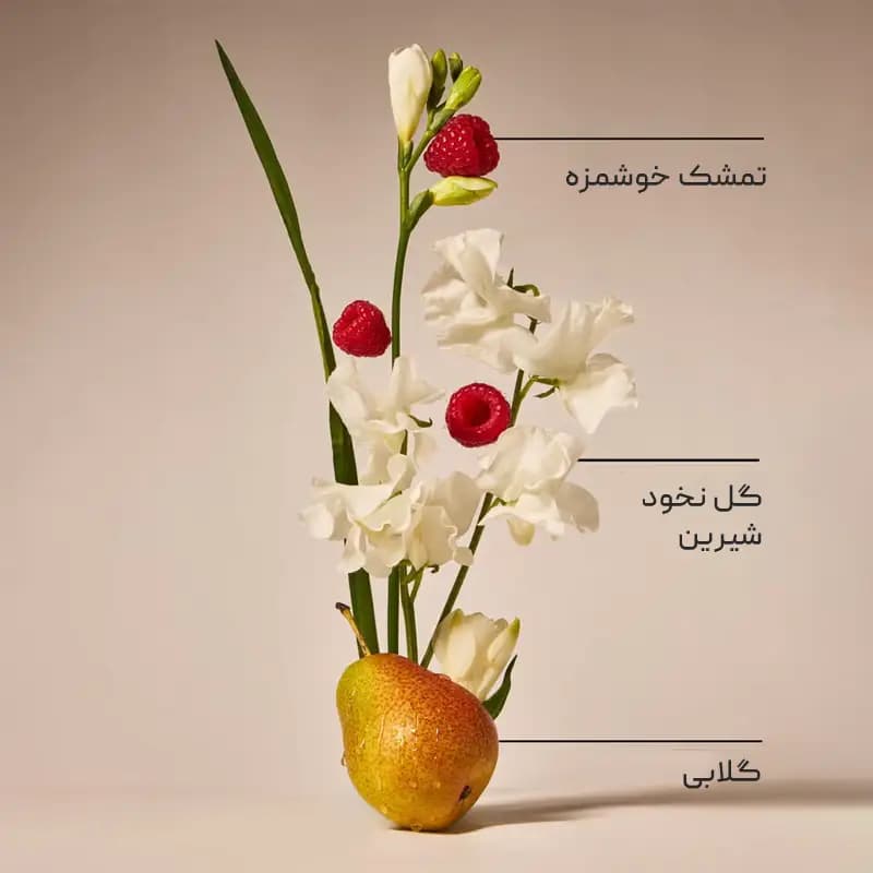 لوسیون بدن sweet pea بث اند بادی Bath and Body — تصویر ۲