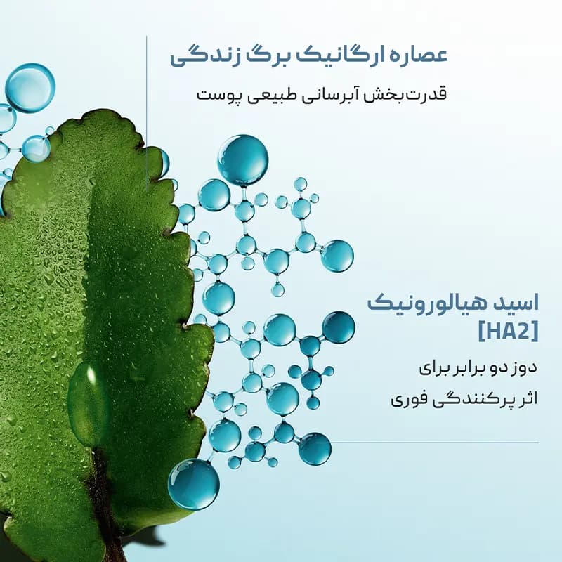کرم شب هیدرا اسنشیال کلارنس Clarins — تصویر ۳