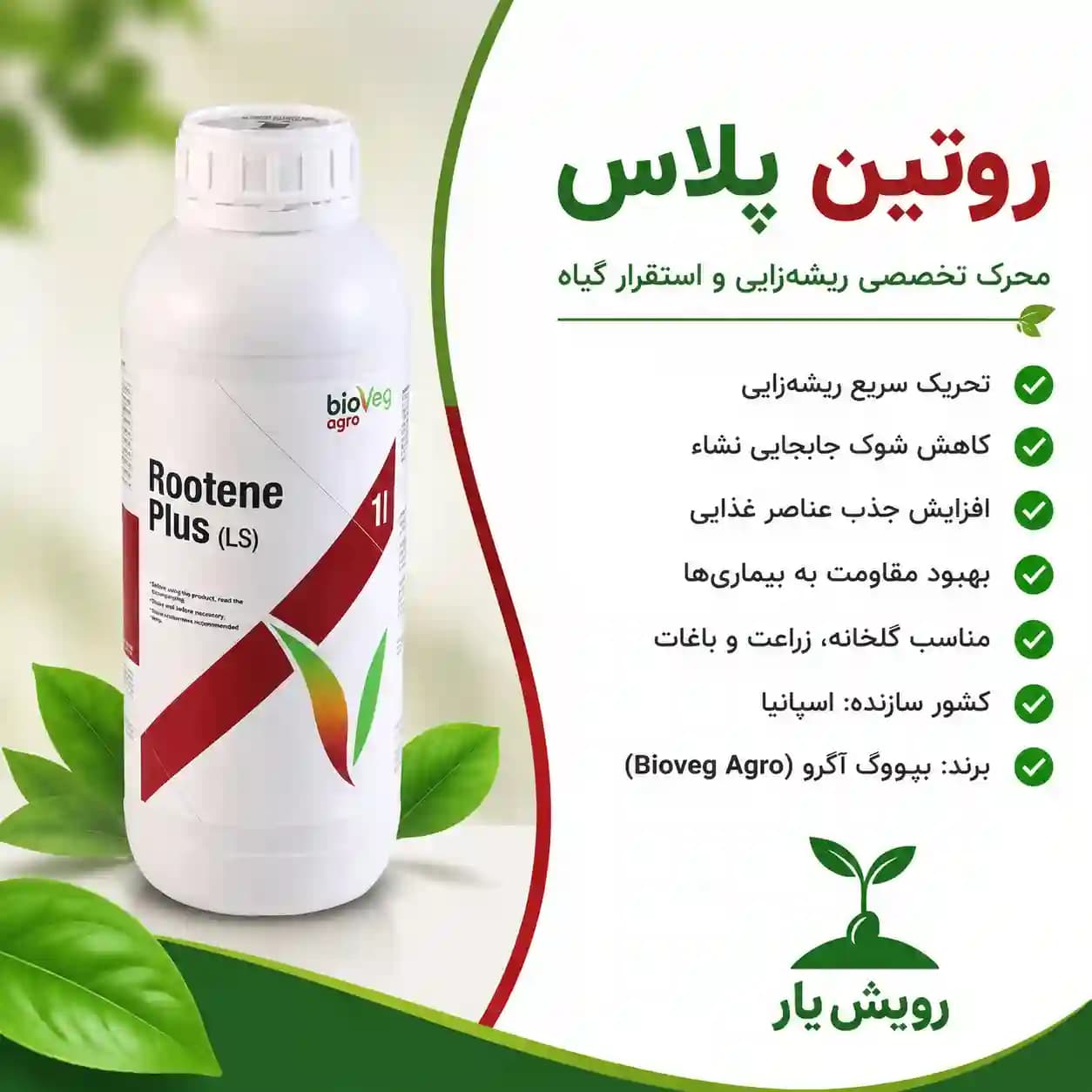 ریشه زا روتن پلاس (Rootene Plus) | ۱ لیتری اسپانیایی برای تقویت ریشه — تصویر ۴