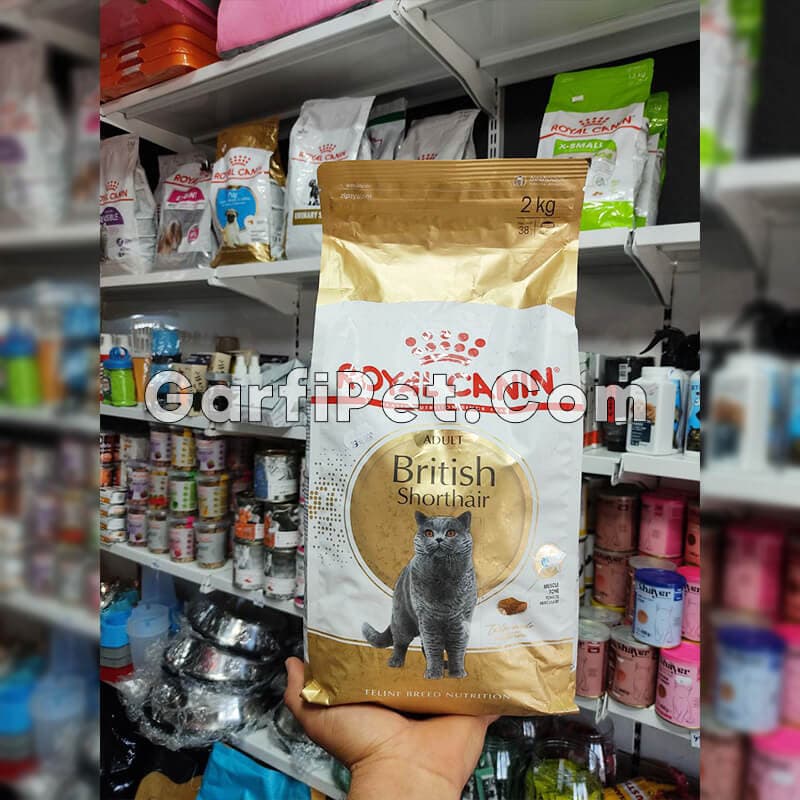 غذای خشک گربه «رویال کنین» مدل بریتیش British Adult (2 کیلوگرم) — تصویر ۳