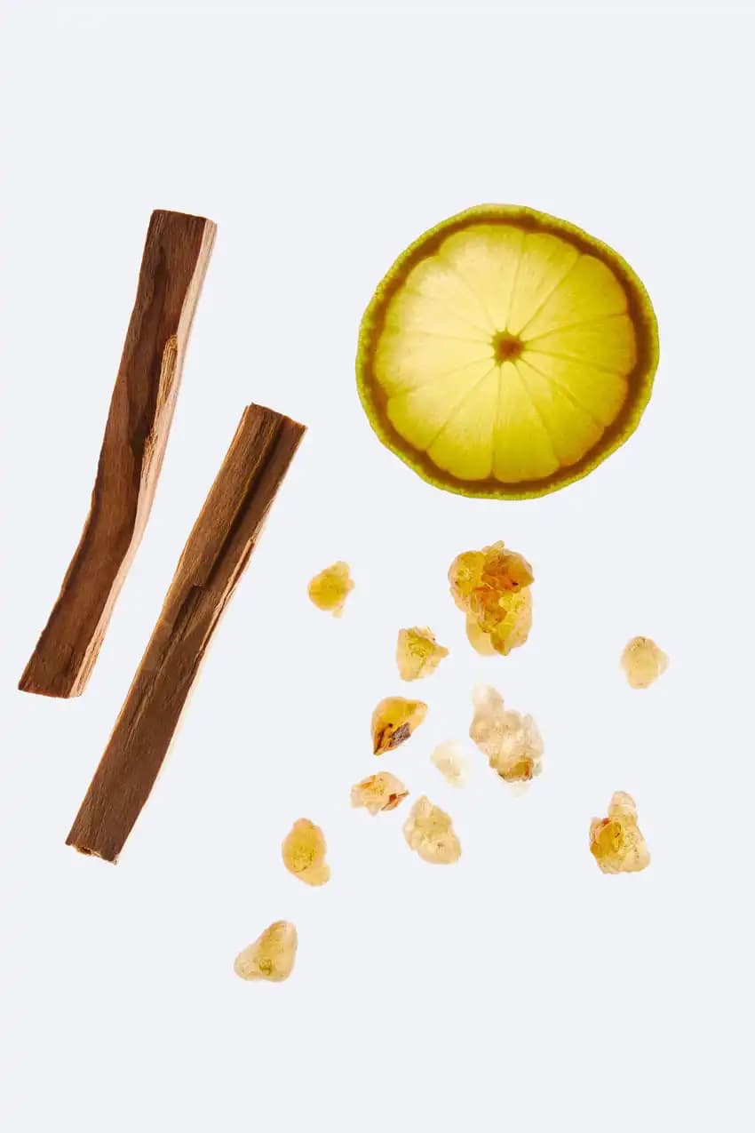 عطر مردانه زارا Oud Vibrant Leather — تصویر ۴