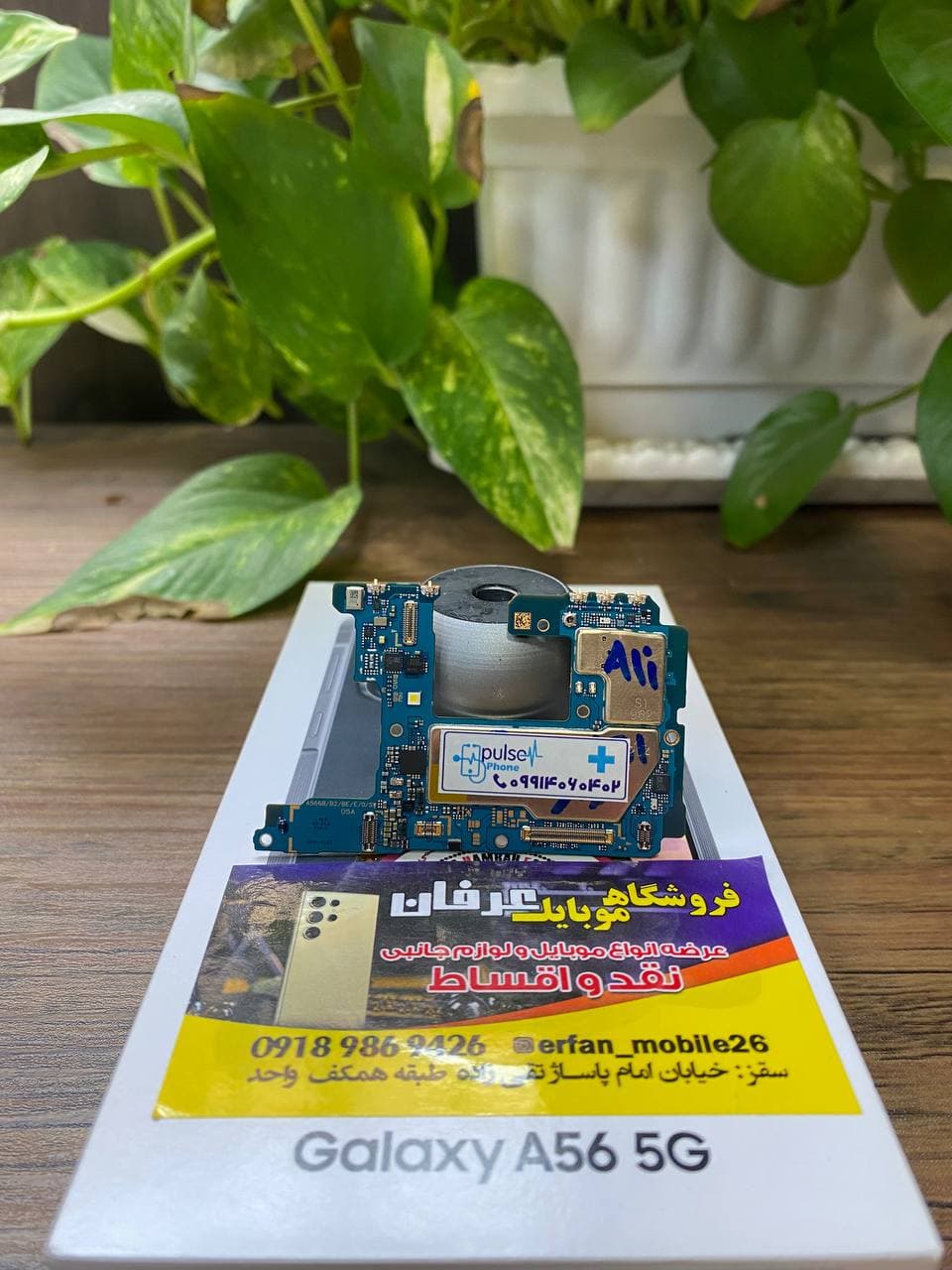 Main board Samsung A56 5g-برد اصلی سامسونگ A56 5g — تصویر ۳