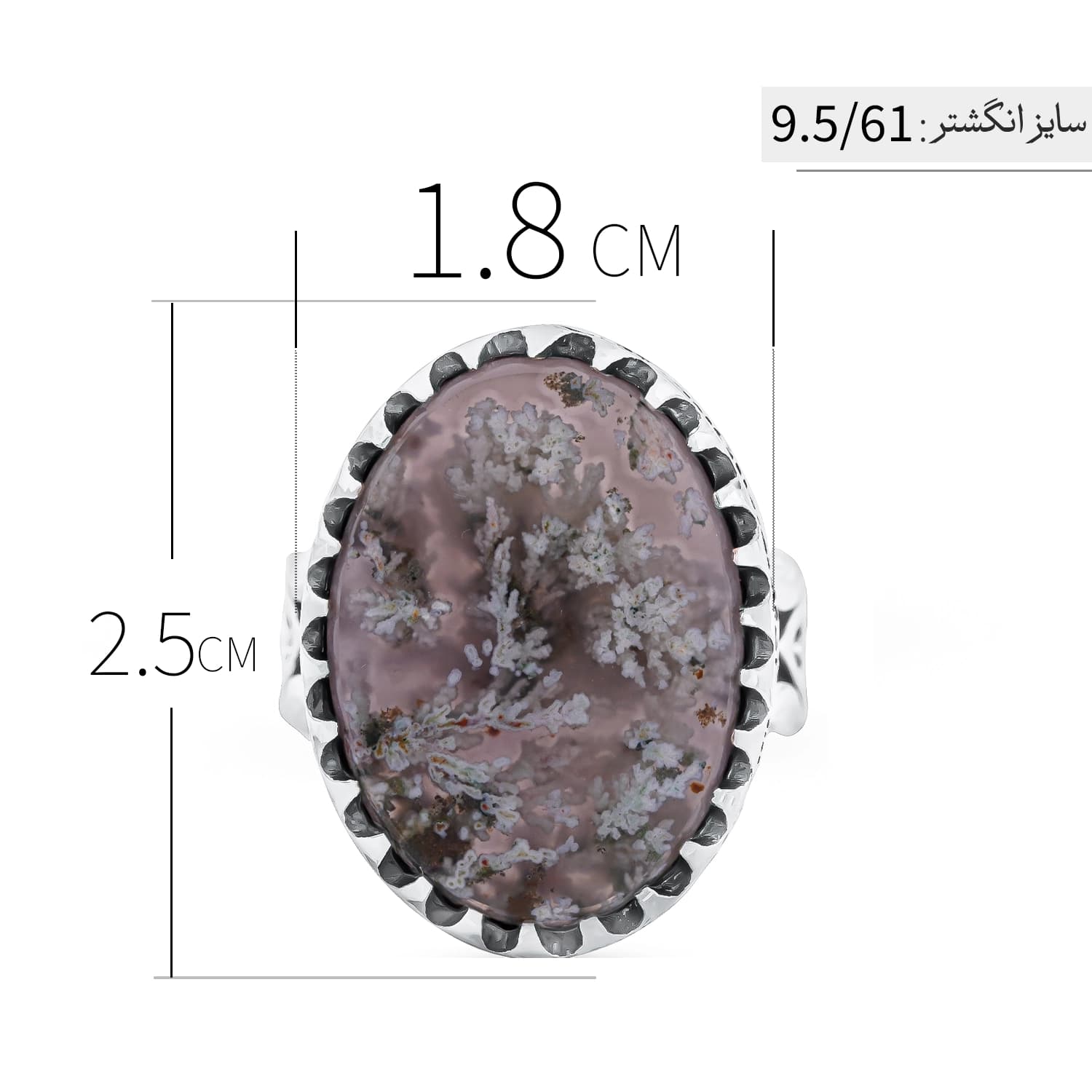 انگشتر مردانه نقره شجر بهاره مدل ANA-M03 — تصویر ۶